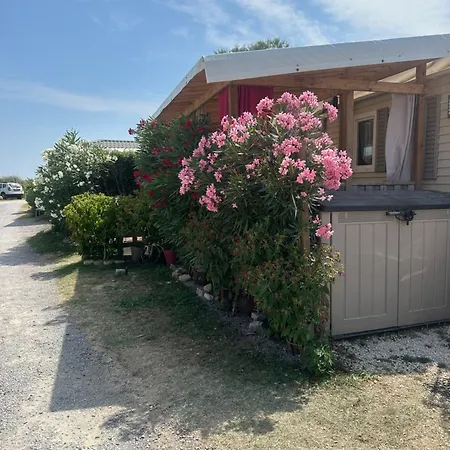 Location Mobile-home Camping